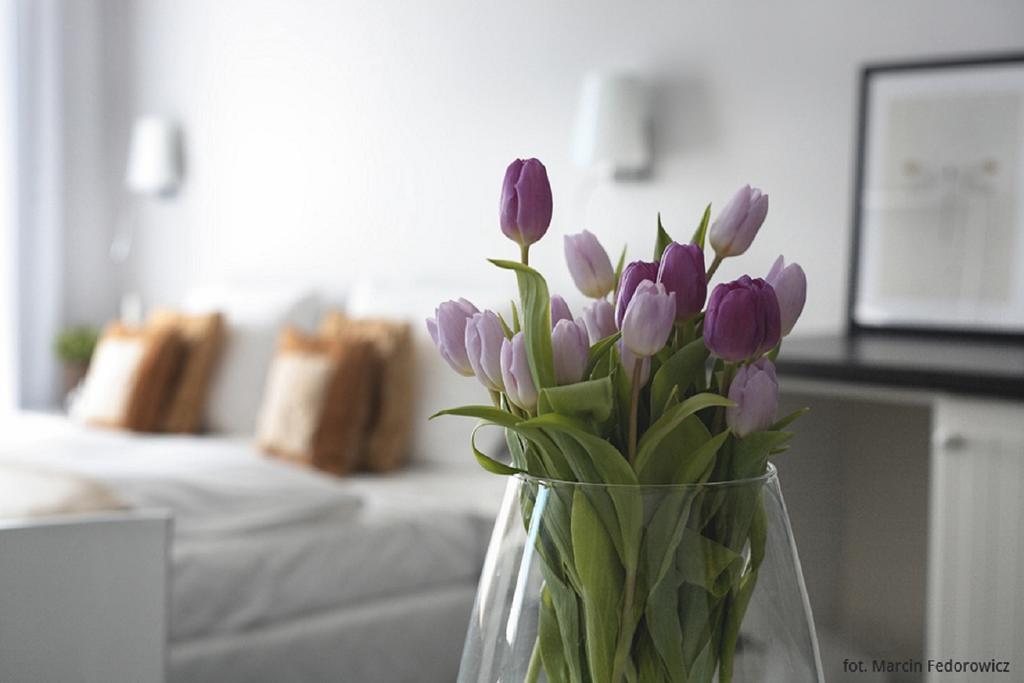 Hotel Amber Suite & Spa - Enklawa Dla Doroslych (Adults Only) Międzywodzie Eksteriør billede